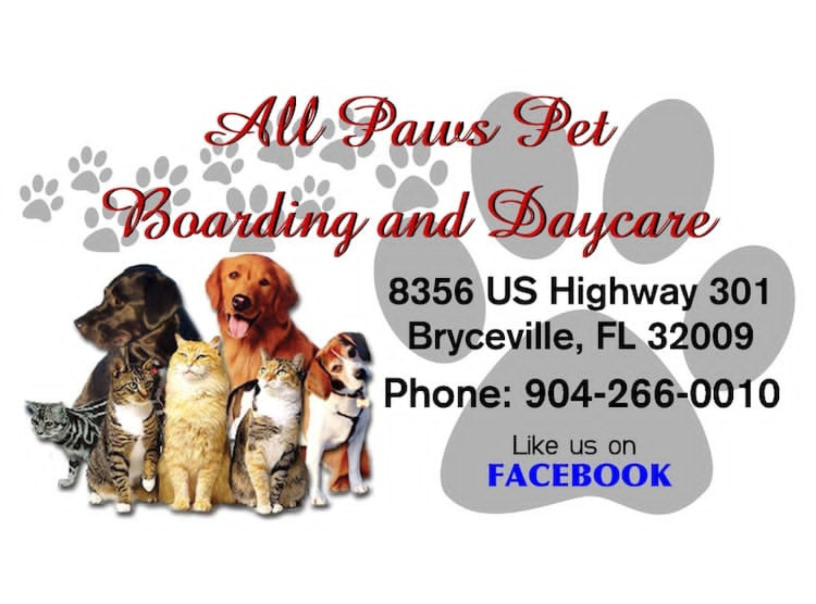 Two happy dogs playing in a sunlit yard at All Paws Pet Boarding